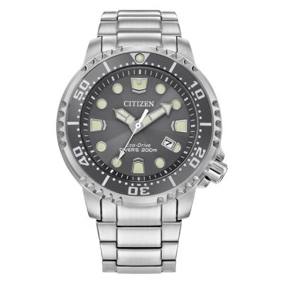 Citizen Promaster Solar Dive Watch with Grey Dial