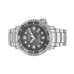 Citizen Promaster Solar Dive Watch with Grey Dial