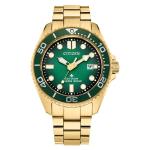 Citizen Eco-Drive Promaster Dive Watch with Green Dial