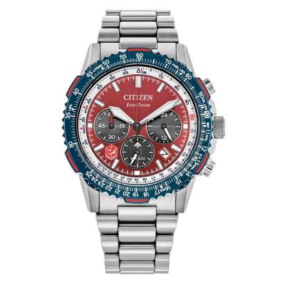 Citizen Eco-Drive Promaster Navihawk Snowbirds Edition Watch