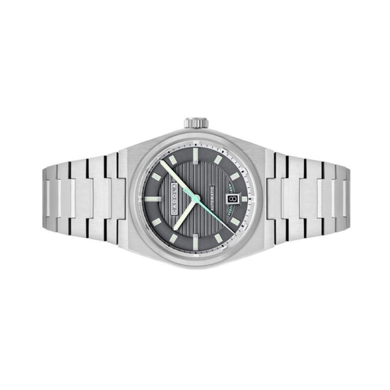 Cadola Lydden Hill Automatic Fender Grey