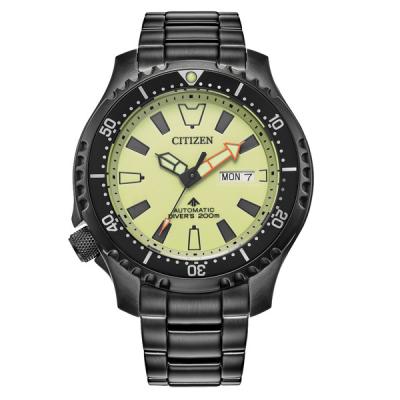 Citizen Automatic Promaster Dive Watch with Fully Lumed Dial and PVD Case and Bracelet